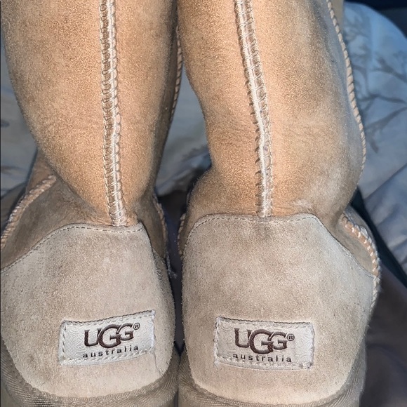 UGG Shoes - Uggs!!! UGG Shoes - Uggs!!!